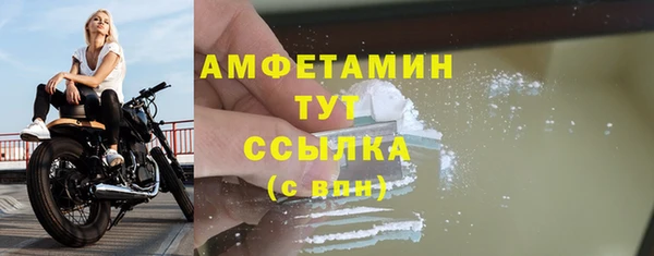 прущие грибы Бугульма